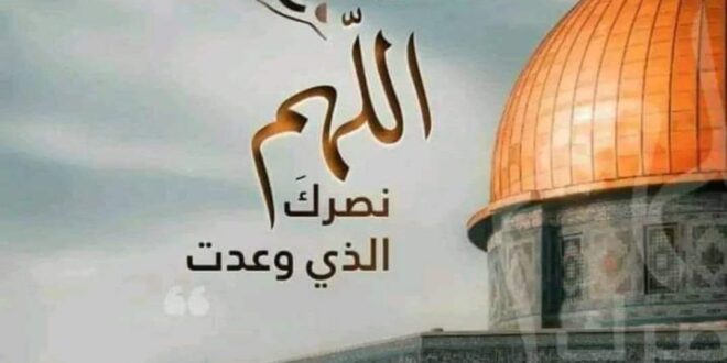==== صمود وانتصار ====