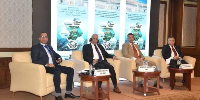 "حنيجل" يلقي كلمة بمناسبة افتتاح ورشة عمل مفوضية الاتحاد الإفريقي للاستستزراع السمكي والمصايد AU-IBAR