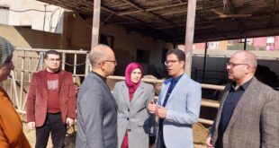 رئيس جامعة بنها يتفقد بدء الفصل الدراسى الثانى بكليات الزراعة والطب البيطري والتربية الرياضية والعلاج الطبيعى